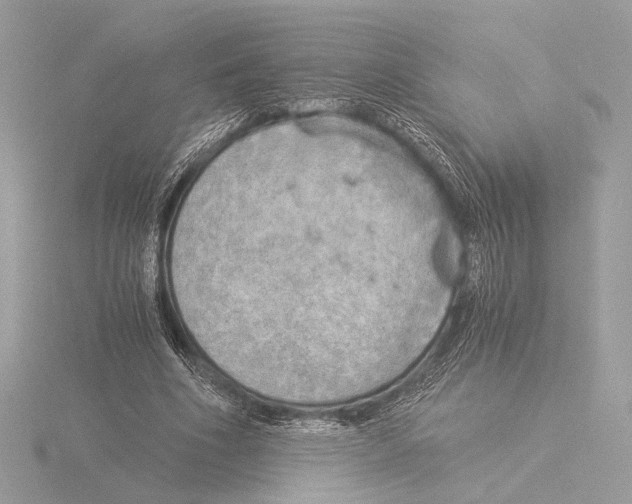 X0000116020586200912181151