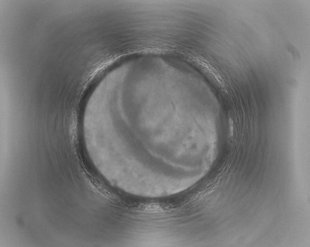 X0000116020588200912181151