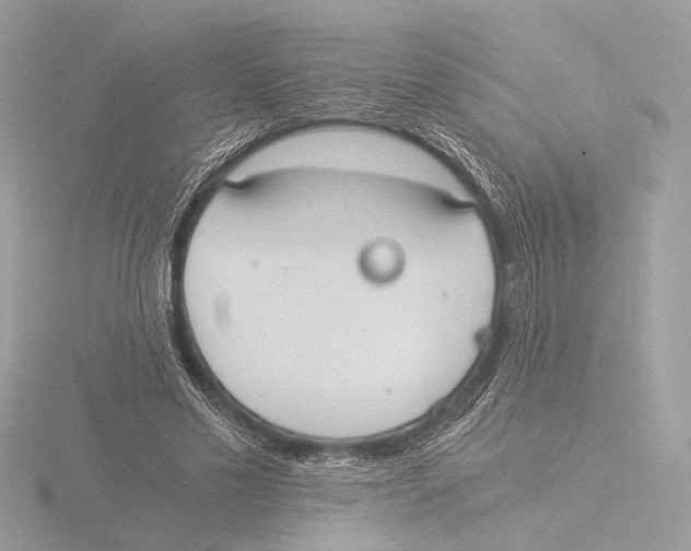 X0000116020589200912181151