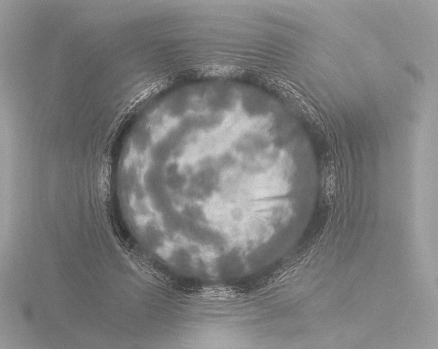 X0000116020591200912181151