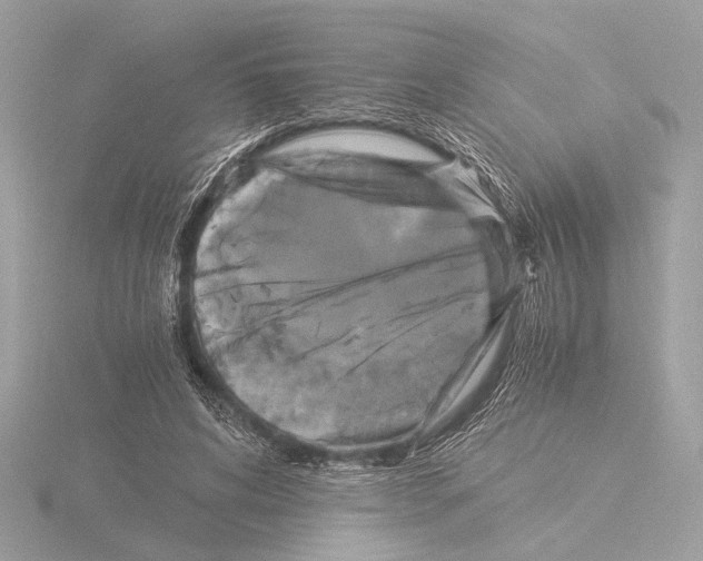 X0000116020592200912181151