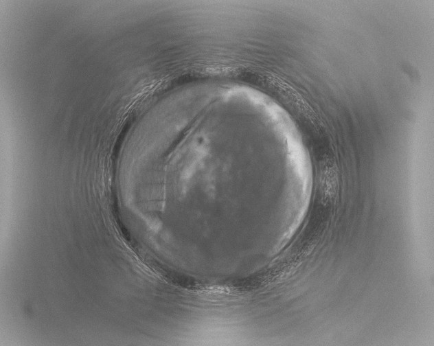 X0000116020593200912181151