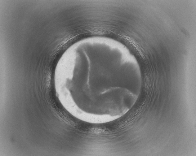 X0000116020596200912181151