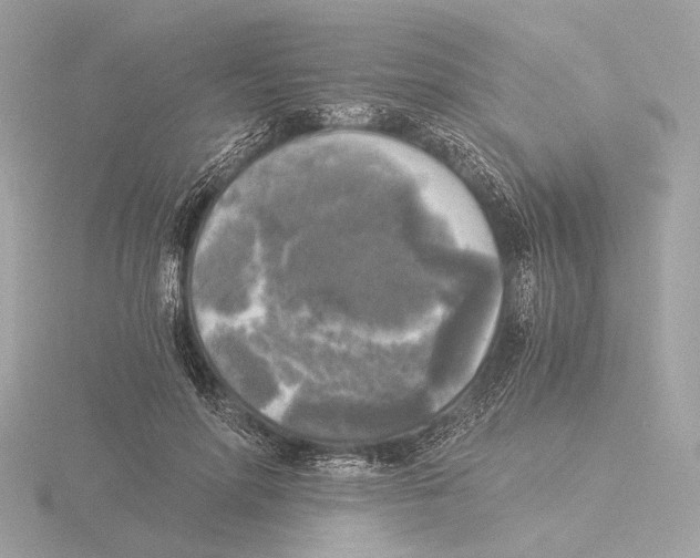 X0000116020598200912181151