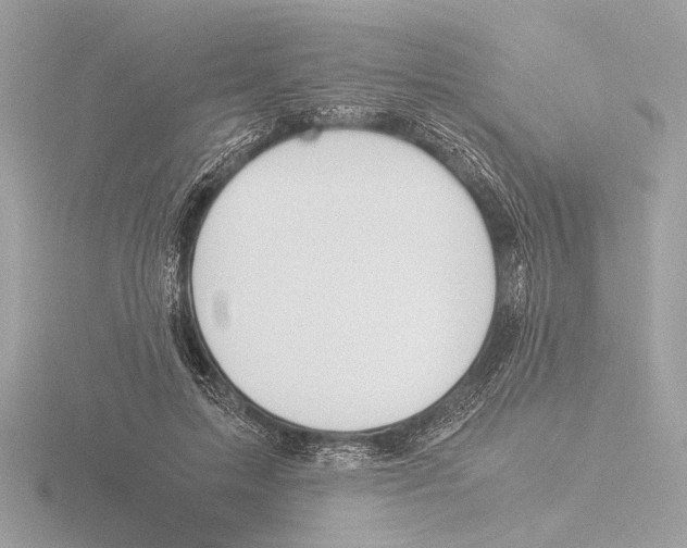 X0000116020599200912181151