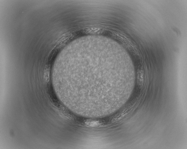 X0000116020602200912181151