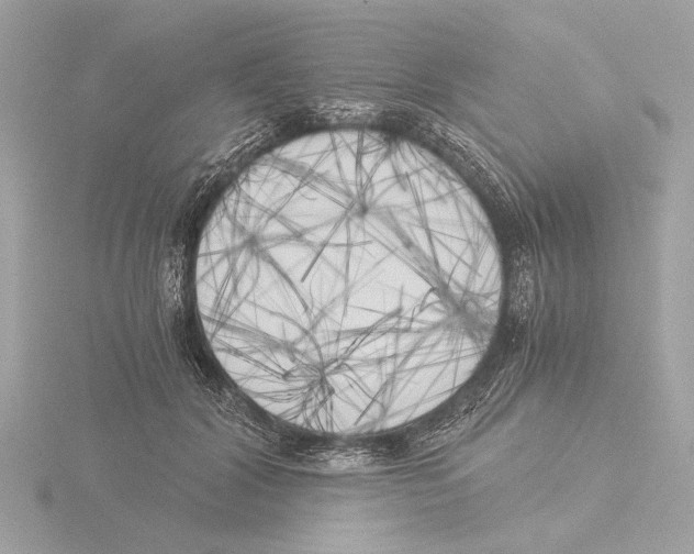 X0000116020604200912181151