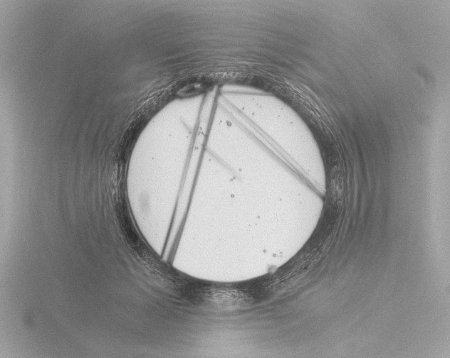 X0000116020605200912181151