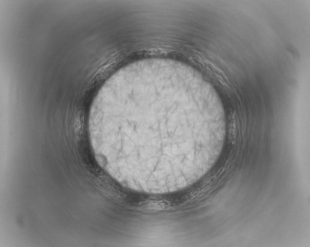 X0000116020608200912181151