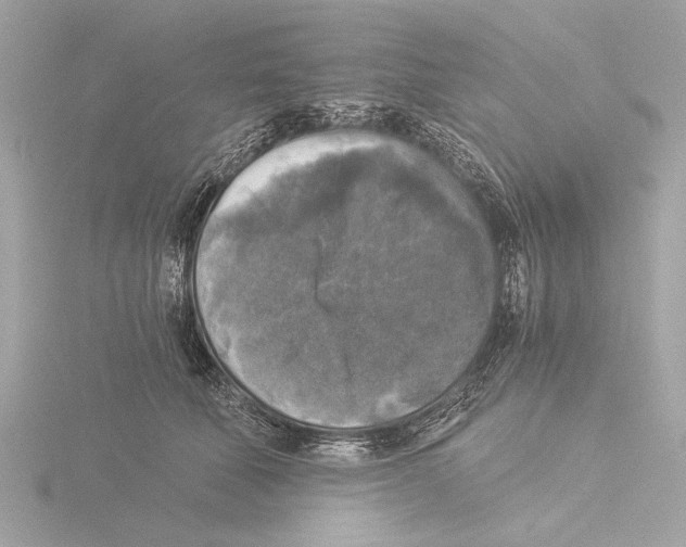 X0000116020610200912181151