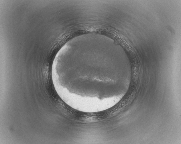 X0000116020612200912181151