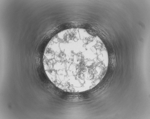 X0000116020615200912181150