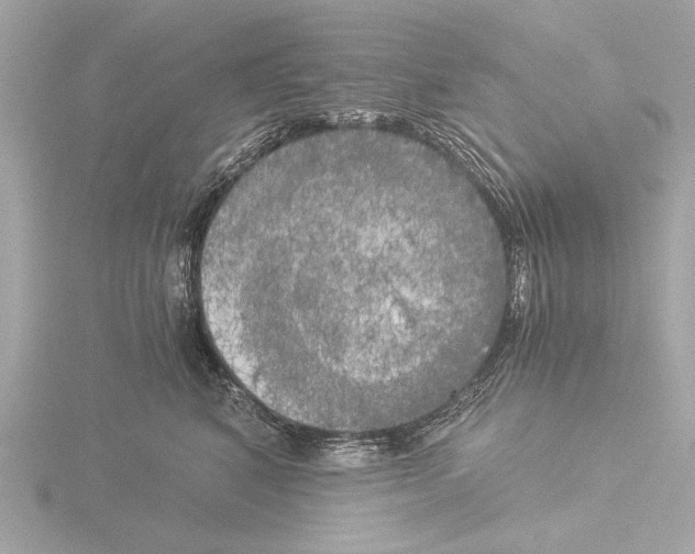 X0000116020616200912181150