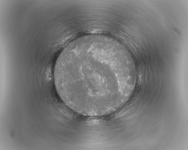 X0000116020620200912181150