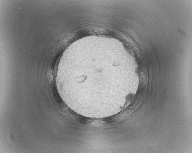 X0000116020621200912181150