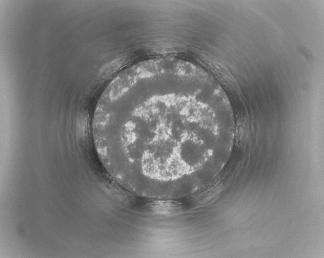 X0000116020623200912181150