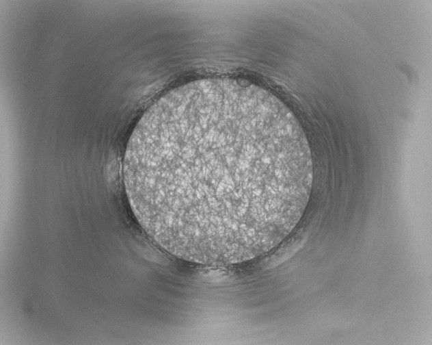 X0000116020624200912181150