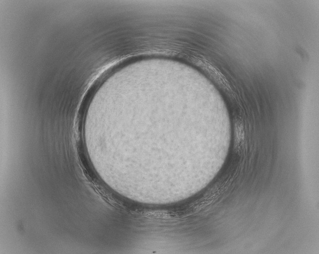 X0000116020628200912181150