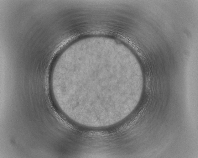 X0000116020629200912181150