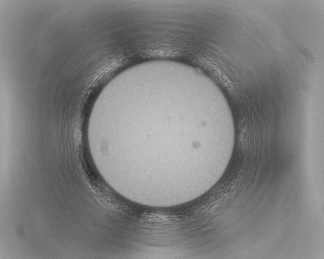 X0000116020635200912181150