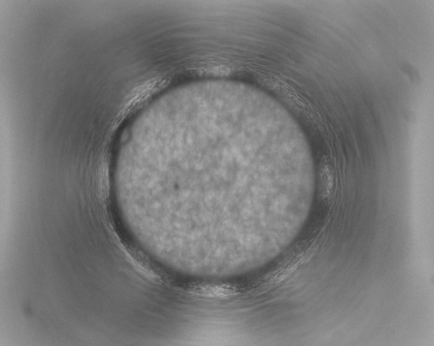 X0000116020638200912181150