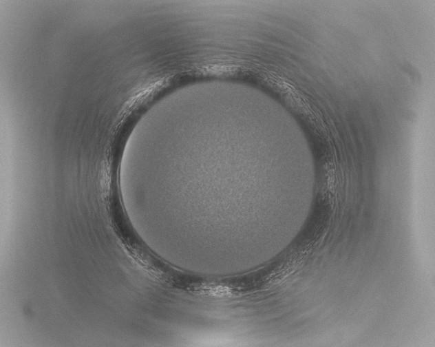 X0000116020640200912181150