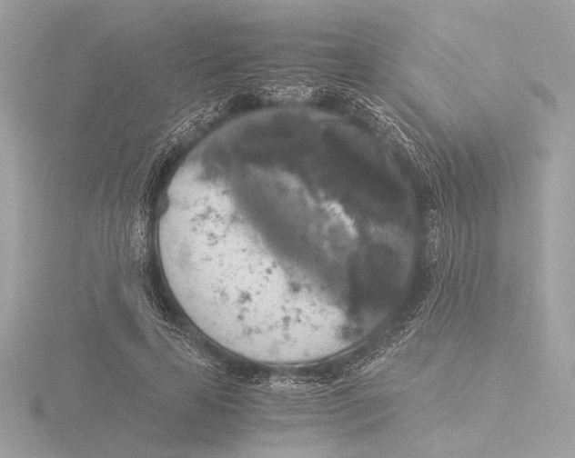 X0000116020641200912181150