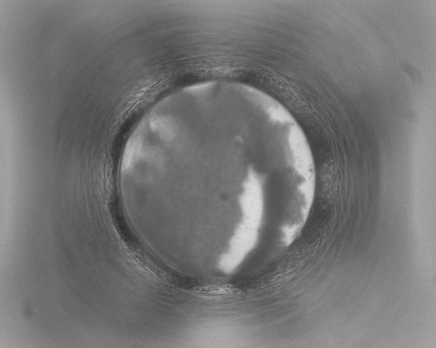 X0000116020642200912181150