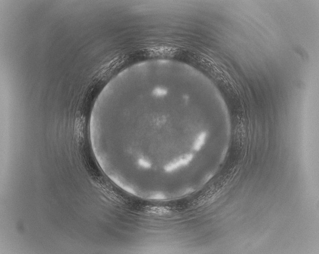 X0000116020649200912181150