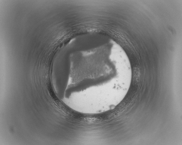 X0000116020650200912181150