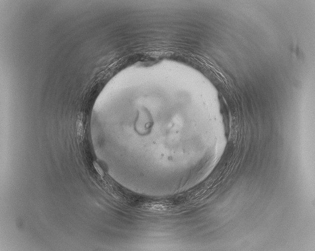 X0000116020655200912181150