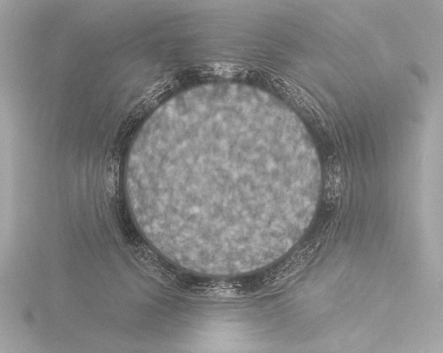 X0000116020656200912181150