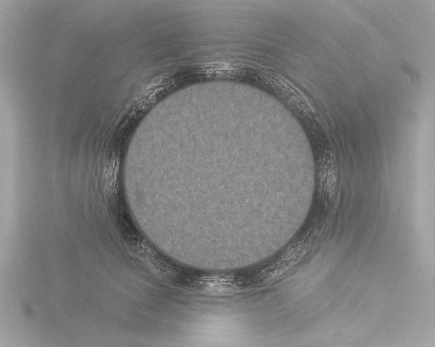 X0000116020660200912181150