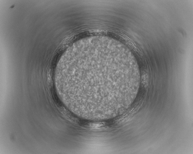 X0000116020662200912181150