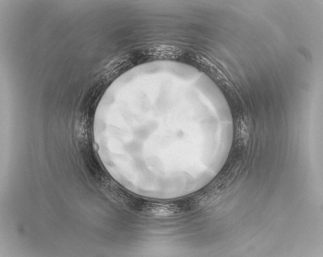 X0000116020663200912181150