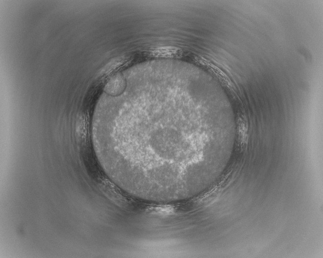 X0000116020665200912181150