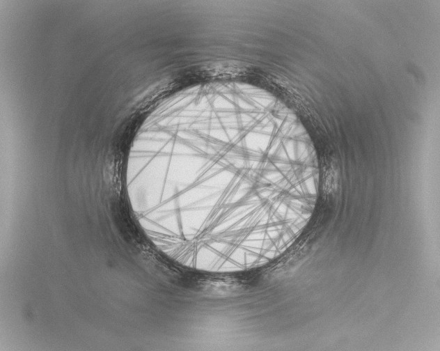 X0000116020666200912181150