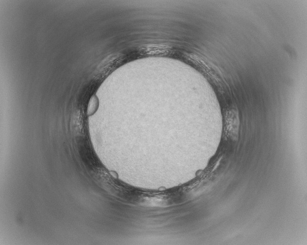 X0000116020667200912181150