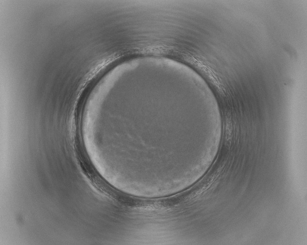 X0000116020674200912181150