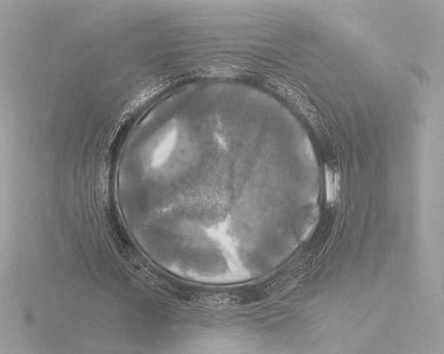 X0000116020675200912181150