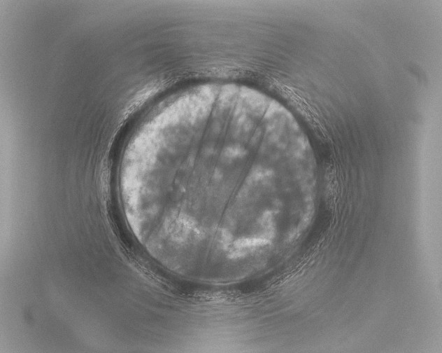 X0000116020679200912181150