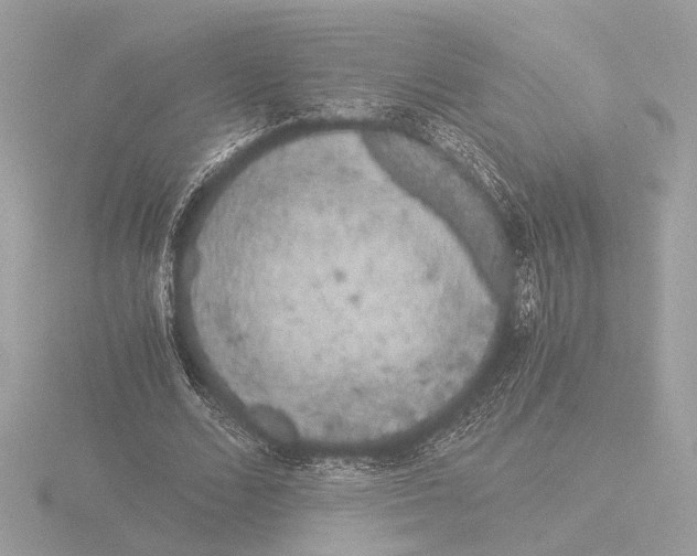 X0000116020680200912181150