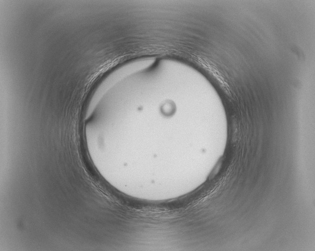 X0000116020681200912181150