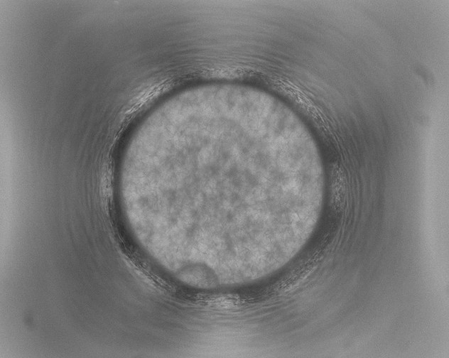 X0000116020683200912181150