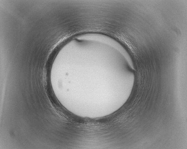 X0000116020684200912181150