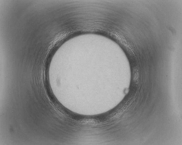 X0000116020685200912181150