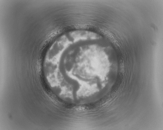 X0000116020687200912181150