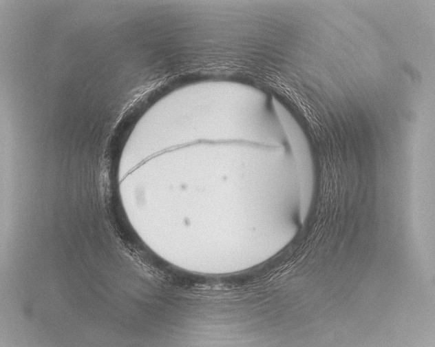 X0000116020688200912181150