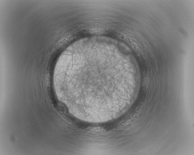 X0000116020689200912181150