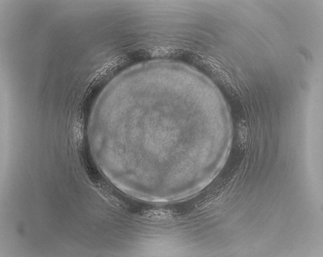 X0000116020691200912181150